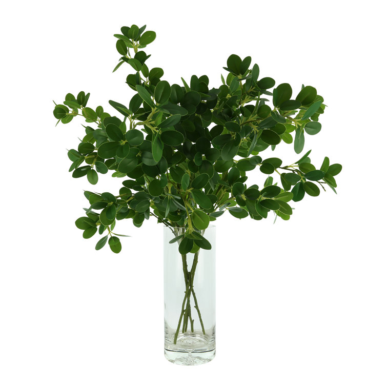 Primrue 30'' Faux Boxwood Plant in Glass Vase Wayfair